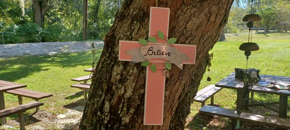 Jacksonville Medical and Rehab