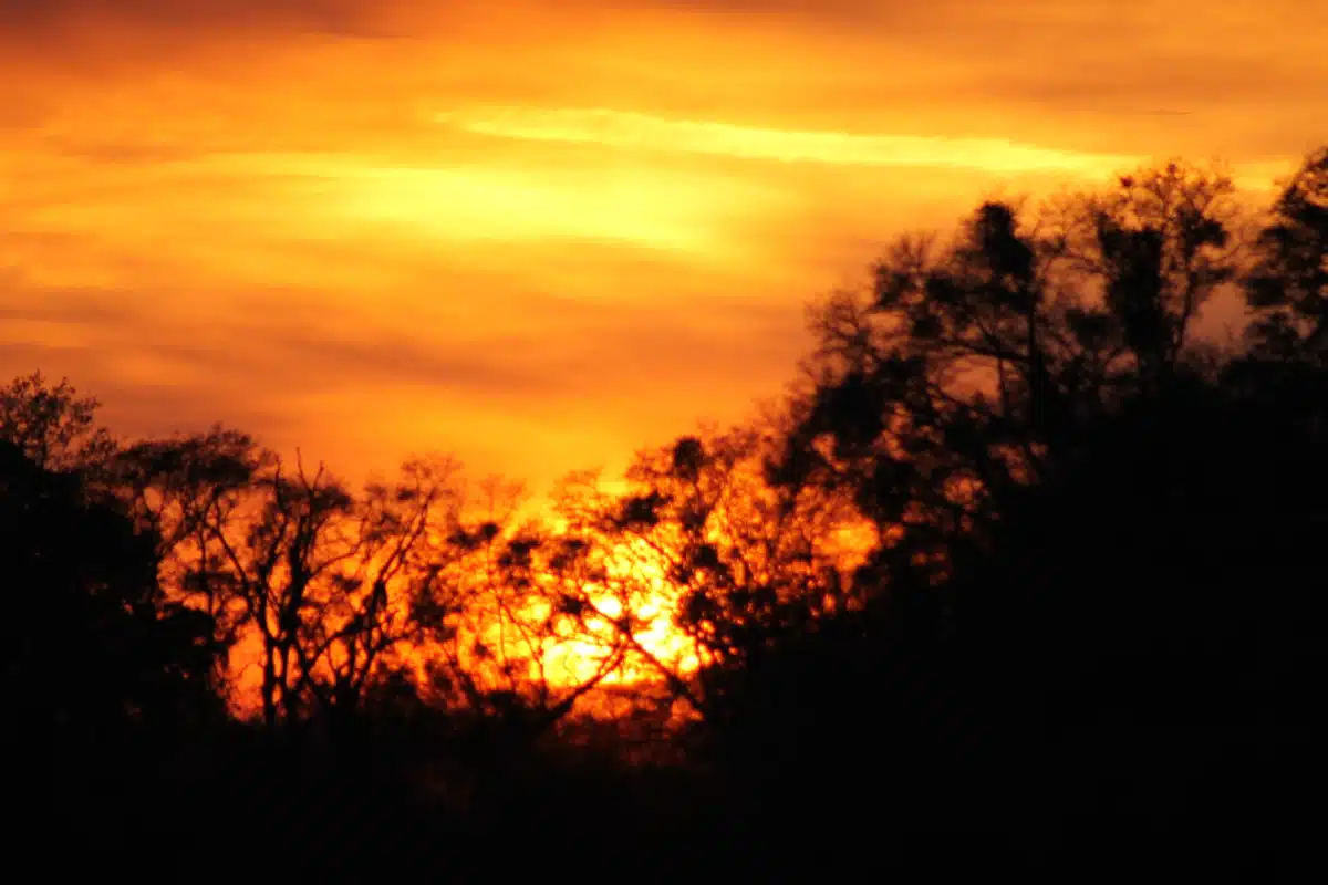 Lakeland Centres - Preview